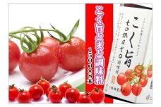 こく旨tomato調味料　A-252