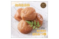紀州南高梅　はちみつ梅　A-258