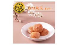 はちみつ梅 梅干し 紀州南高梅 大粒 みつ大玉 800g（塩分8％） 高級　A-070