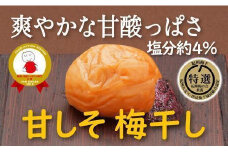 特選A級 紀州南高梅 甘しそ味800g 千年の知恵 梅干し ブランド梅 和歌山県産 A-419