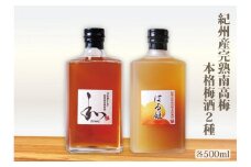 自家農園産　完熟南高梅梅酒　２種　A-031a