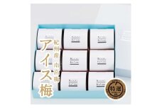 紀州産南高梅紀州アイス梅 9粒入り A-075a