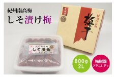 【特選】しそ漬け梅 800g 2L A-085a