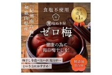 塩ぬき屋 ゼロ梅 (甘酸っぱい味) 200g ×2パック食塩不使用 A-238