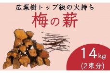 【 広葉樹トップ級の火持ち】梅の薪 14kg / 梅ボーイズ / 広葉樹 / 焚き火台や薪ストーブにぴったり約35cm A-091a