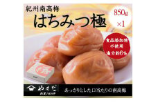 紀州南高梅 はちみつ極 塩分約6％ 850g ［YM10m］ A-247