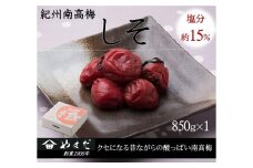 紀州南高梅 しそ 塩分約15％ 850g ［YM6m］ A-245