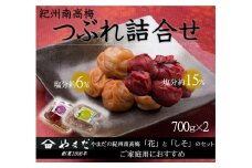 ご家庭用 大容量 紀州南高梅 つぶれ梅 うす塩としそ漬の詰合せ ［YM17m］ A-242