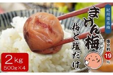 まけん梅(R) 梅と塩だけ 2kg(500g×4) 塩分約19％ 梅干し 紀州南高梅 A-537