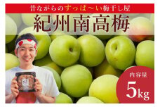 ［先行予約］樹上南高梅の青梅 約5kg 梅ボーイズ 紀州南高梅 2025年5月中旬～6月中旬頃に順次発送予定 B-505