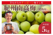 ［先行予約］樹上南高梅の青梅 約5kg 追熟用 梅ボーイズ 紀州南高梅 2025年5月中旬～6月中旬頃に順次発送予定 B-506