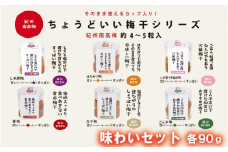 ちょうどいい梅干セット 【味わいセット】各90ｇ×6種 （約4～5粒入） A-139
