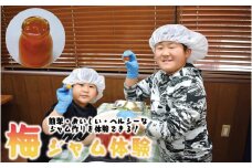 梅ジュース＆梅ジャムづくり体験チケット  A-137