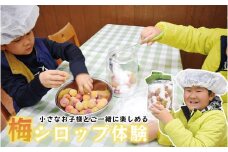 梅ジュースづくり体験ペアチケット A-250
