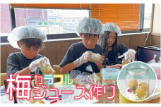 カラフル梅ジュースづくり体験ペアチケット A-006b