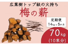 【定期便 毎月発送・全5回 】梅の薪 約14kg×5回 梅ボーイズ 広葉樹  【 広葉樹トップ級の火持ち】E-002