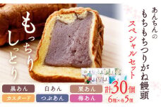 あんちんのもちもちつりがね饅頭 スペシャルセット 全6種×5個 計30個 有限会社あんちん 《30日以内に出荷予定(土日祝除く)》 和歌山県 日高川町 まんじゅう 饅頭 和菓子 スイーツ