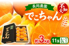 【先行受付】でこちゃん( デコポン )と同品種 不知火 11玉 長岡農園《2026年2月中旬-4月上旬頃出荷》 和歌山県 日高川町 不知火 旬 柑橘 フルーツ 果物