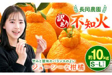 【先行受付】【訳あり】不知火 ( デコポン )と同品種 約10kg 長岡農園《2月中旬-4月上旬頃出荷》 和歌山県 日高川町 訳あり 不揃い 規格外 旬 柑橘 フルーツ 果物