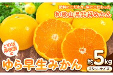 みかん ＜2025年出荷先行予約＞ ゆら早生みかん 5kg (2S～Lサイズ) どの坂果樹園《2025年10月中旬-12月上旬頃出荷予定》 和歌山県 日高川町 ふるさと納税 みかん ふるさと納税  ゆら早生 旬 柑橘 フルーツ 果物