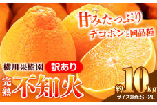 【ふるさと納税】【先行予約】完熟 不知火 ( デコポン )と同品種 約10kg S～2L 家庭用 サイズ混合 横川果樹園 《2026年3月中旬-4月末頃出荷》 和歌山県 日高川町 不知火 みかん 果物 柑橘 フルーツ 送料無料 
