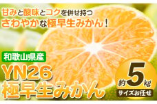 YN26 極早生 みかん 約 5kg（2S～Mサイズおまかせ）《2025年9月中旬-11月中旬頃出荷》和歌山県 日高川町 フルーツ 果物 極早生