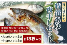 「旨いはずです。」特選あゆ一夜干しセット(13枚入)　日高川漁業協同組合《90日以内に出荷予定(土日祝除く)》 和歌山県 日高川町 あゆ 鮎 魚 一夜干し