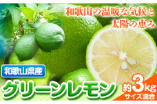 【産直】和歌山産 グリーン レモン 約 3kg 厳選館（サイズ混合）《2024年10月下旬-11月下旬頃出荷》和歌山県 日高川町 レモン 柑橘