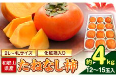 【先行予約】【秋の味覚】和歌山産 の たねなし 柿 2L～4Lサイズ 約 4kg（化粧箱入り）厳選館《2025年10月上旬-11月中旬頃出荷》和歌山県 日高川町 柿 カキ かき ジューシー フルーツ たねなし