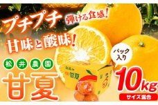 【先行予約】【ふるさと納税】パック入り 甘夏 10kg(サイズ混合) 松井農園《2026年4月上旬-5月中旬頃出荷》和歌山県 日高川町 フルーツ 柑橘 あまなつ