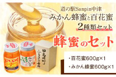 【和歌山県日高川町】みかん蜂蜜と百花蜜　蜂蜜２種類セット 株式会社フラット・フィールド・オペレーションズ 日高川町事業所 (道の駅SanPin中津)《90日以内に出荷予定(土日祝除く)》 和歌山県 日高川町 蜂蜜 みかん 百花