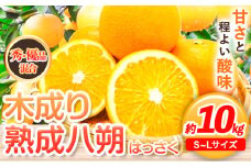 【先行予約】【産直】和歌山由良町産の木成り熟成八朔 約 10kg（S-Lサイズ）厳選館 《2026年3月中旬-5月中旬頃出荷》和歌山県 日高川町 柑橘 八朔 熟成