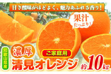 〈先行予約〉【訳あり・ご家庭用】和歌山由良町産の濃厚 清見オレンジ 約10kg 厳選館 《2026年2月中旬-3月中旬頃出荷》和歌山県 日高川町 果物 フルーツ 柑橘 清見オレンジ 濃厚