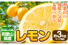 和歌山産レモン約3kg（サイズ混合） 約3kg 日高川町厳選館(株式会社ティーエムテック)《2025年3月中旬-6月中旬頃出荷》和歌山県 日高川町 果物 フルーツ レモン 柑橘