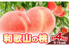 和歌山の 桃 秀選品 約 4kg(9～15玉入り) 1箱 厳選館【配送不可地域あり】《2025年6月末-8月下旬出荷》和歌山県 日高川町 果物 フルーツ 桃 もも