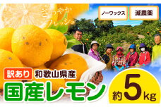 訳あり レモン 国産 約 5kg (サイズ混合)  ノーワックス 減農薬 どの坂果樹園《2026年2月上旬-5月末頃出荷》 和歌山県 日高川町 レモン れもん 檸檬 果物 フルーツ 訳あり 送料無料 【わけあり・訳ありレモン】