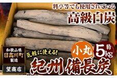 紀州備長炭 小丸 約5kg 望商店 《30日以内に出荷予定(土日祝除く)》 和歌山県 日高川町 備長炭 紀州備長炭 炭 約5kg 高級白炭 BBQ 焼肉 炭火焼き キャンプ レジャー 囲炉裏 国産 備長炭 川遊び ロッジ 行楽 安全 安心 火起こし 大活躍
