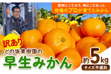 ＜先行予約＞訳あり 早生 みかん 5kg ( サイズおまかせ ) どの坂果樹園《12月上旬-1月末頃出荷》 和歌山県 日高川町 みかん ご家庭用 期間限定 フルーツ 旬 柑橘 サイズ 不選別 ミカン ５キロ 訳ありみかん わけありみかん 早生みかん st-p