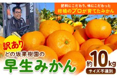＜先行予約＞訳あり 早生 みかん 10kg ( サイズ おまかせ) どの坂果樹園《12月上旬-1月末頃出荷》 早生みかん 訳ありみかん 和歌山県 日高川町 みかん ご家庭用 サイズ 不選別 規格外 おまかせ 不揃い 10kg 期間限定 旬 柑橘 産地直送 フルーツ 果物 10キロ 訳ありみかん わけありみかん st-p