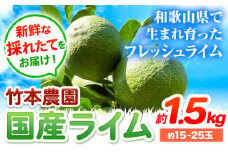 【先行予約】ライム 国産 ライム 約1.5kg (15～25玉)《年9月下旬-12月中旬頃出荷》竹本農園 和歌山県 日高川町 産地直送 旬 新鮮 果物 柑橘 ライム らいむ フルーツ 国産 送料無料