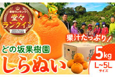 【先行予約】不知火 ( デコポン と同品種 ) しらぬい 約 5kg (L～5Lサイズ) どの坂果樹園《2026年2月中旬-4月上旬頃出荷》 和歌山県 日高川町 しらぬい 不知火 デコポン でこぽん 旬 果物 フルーツ くだもの 和歌山 しらぬい 柑橘 産地直送 送料無料