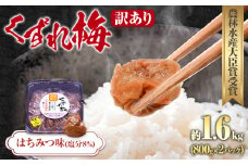 訳あり 紀州南高梅 くずれ梅 はちみつ味 1.6kg 農林水産大臣賞受賞《30日以内に出荷予定(土日祝除く)》ウェブセラータクティクス 和歌山県 日高川町 梅干し 塩分 8％ 漬け物 ごはんのお供 白ごはん 訳あり梅干し うめぼし