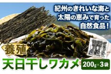 天日干しワカメ(養殖) 約600g 約200g×3袋 株式会社はし長 《30日以内に出荷予定(土日祝除く)》 和歌山県 日高川町 わかめ ワカメ 海藻 味噌汁