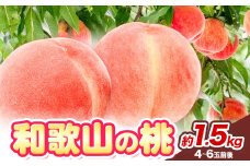 桃 2025年先行予約【産直・人気の特産品】和歌山の桃 約1.5kg 厳選館《2025年6月中旬-8月中旬より出荷》和歌山県 日高川町 果物 フルーツ 桃 もも 送料無料【配送不可地域あり】