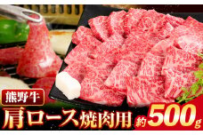 牛肉 熊野牛 肩ロース 焼肉用 500g 株式会社Meat Factory《30日以内に出荷予定(土日祝除く)》和歌山県 日高川町 熊野牛 牛 和牛 焼肉 ロース カタ st-p
