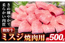 牛肉 熊野牛 ミスジ 焼肉用 500g 株式会社Meat Factory《30日以内に出荷予定(土日祝除く)》和歌山県 日高川町 熊野牛 牛 和牛 焼肉 希少部位 ミスジ 焼肉