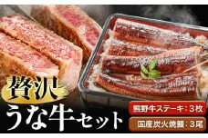 ステーキ 鰻 熊野牛 国産うなぎ 熊野牛ステーキと国産炭火焼鰻の贅沢うな牛セットＢ 計6食 株式会社Meat Factory《30日以内に出荷予定(土日祝除く)》和歌山県 日高川町 ロースステーキ 牛肉 肉 国産 うなぎ 送料無料