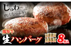 牛肉 熊野牛 生ハンバーグ 8個入り 株式会社Meat Factory《30日以内に出荷予定(土日祝除く)》和歌山県 日高川町 熊野牛 黒毛和牛 ハンバーグ 惣菜 生 送料無料