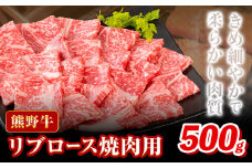牛肉 熊野牛 リブロース 焼肉 用 500g 株式会社Meat Factory《30日以内に出荷予定(土日祝除く)》和歌山県 日高川町 送料無料 国産 牛肉 肉 黒毛和牛 リブ ロース 焼肉用 焼き肉 お取り寄せグルメ