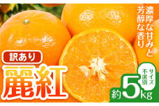 麗紅 訳あり 麗紅 5kg れいこう みかん サイズ不選別 どの坂果樹園《2026年1月末-2月末頃出荷予定》和歌山県 日高川町 みかん 柑橘 フルーツ 果物 ミカン 柑橘 産地直送 送料無料